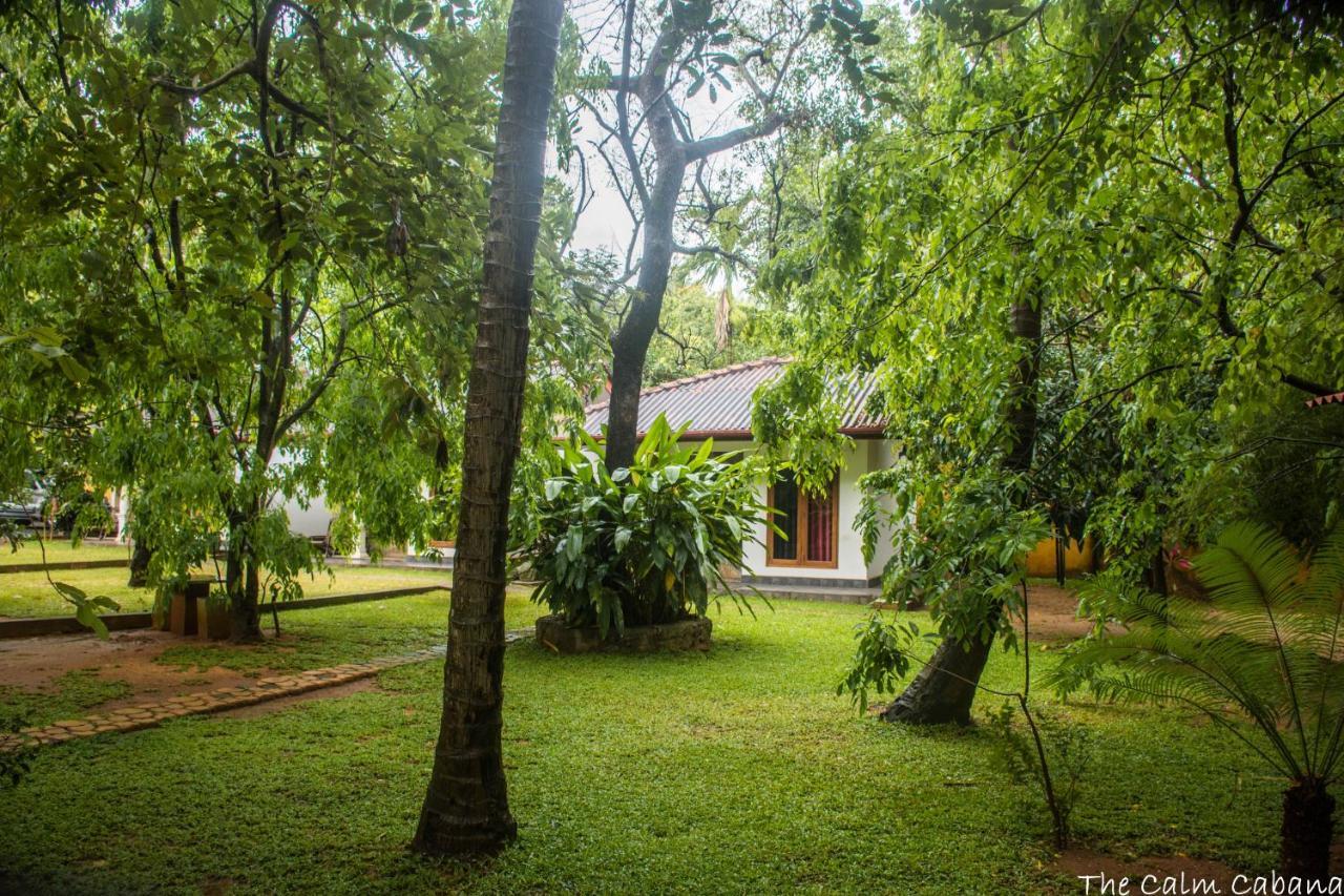 The Calm Cabana Dambulla Εξωτερικό φωτογραφία